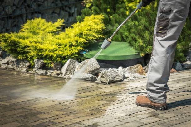 Best Driveway Pressure Washing  in La Cresta, CA